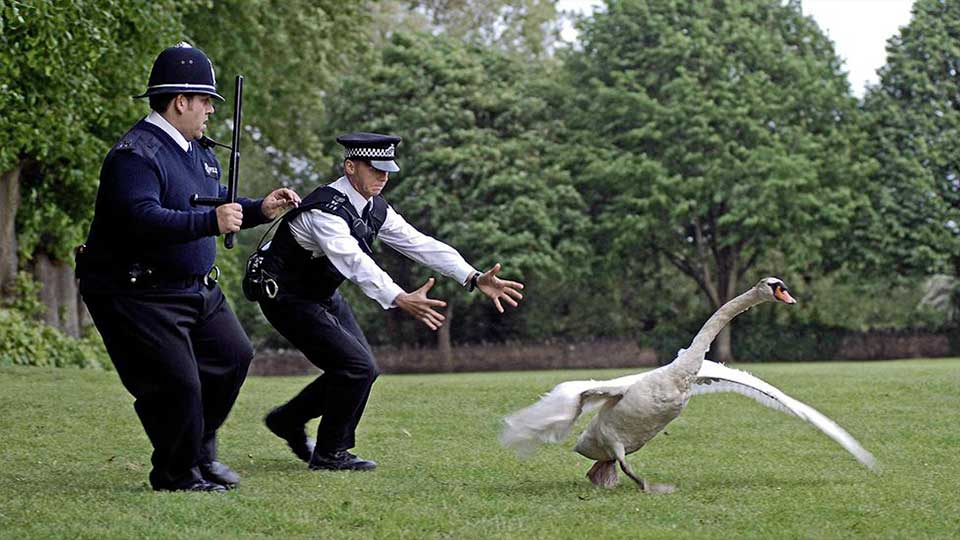 Hot Fuzz